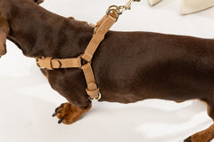 Harness Monaco