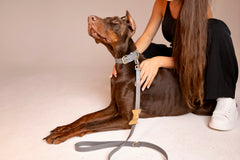 Short Leash Siena Grey