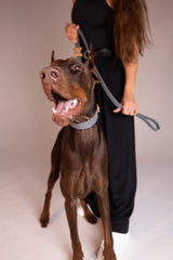 Short Leash Siena Grey