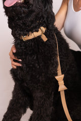 Long Leash Roma Rose