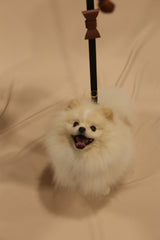 Long Leash Roma Rose