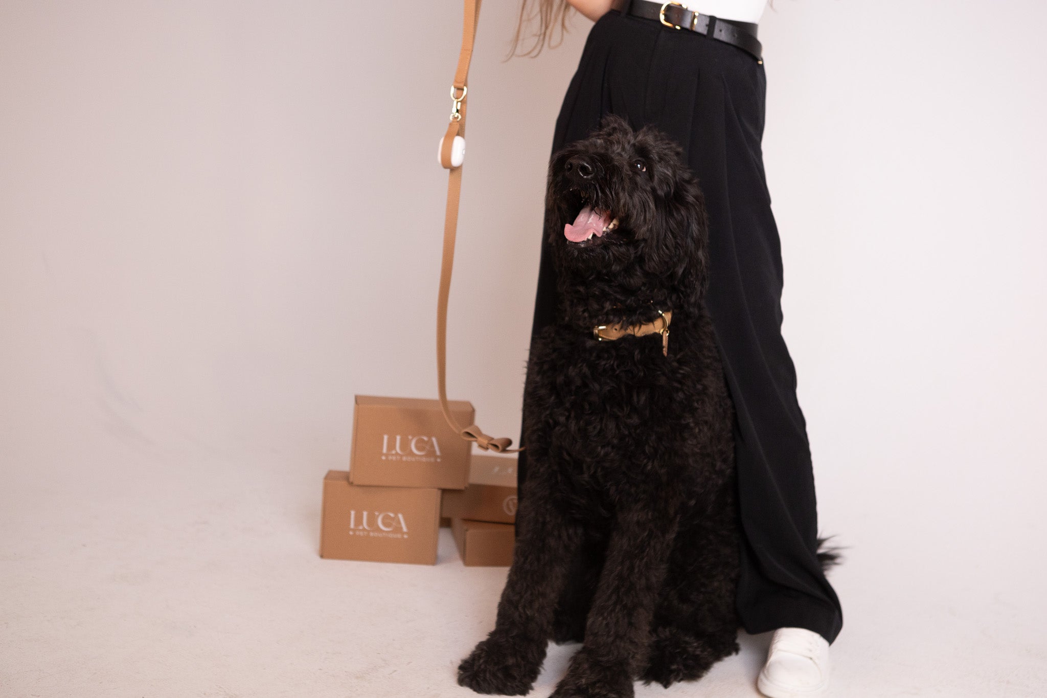 Short Leash Set