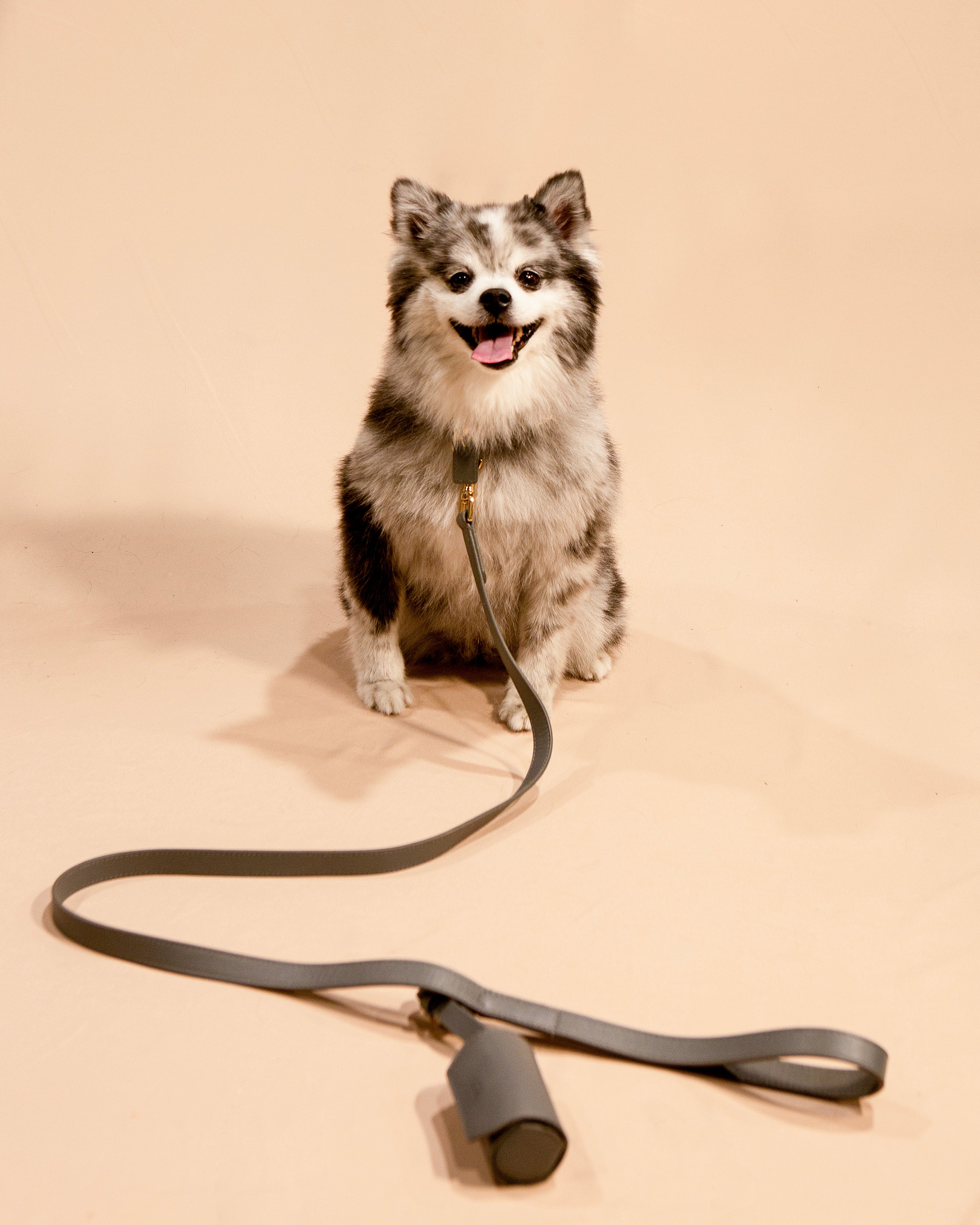 Short Leash Set