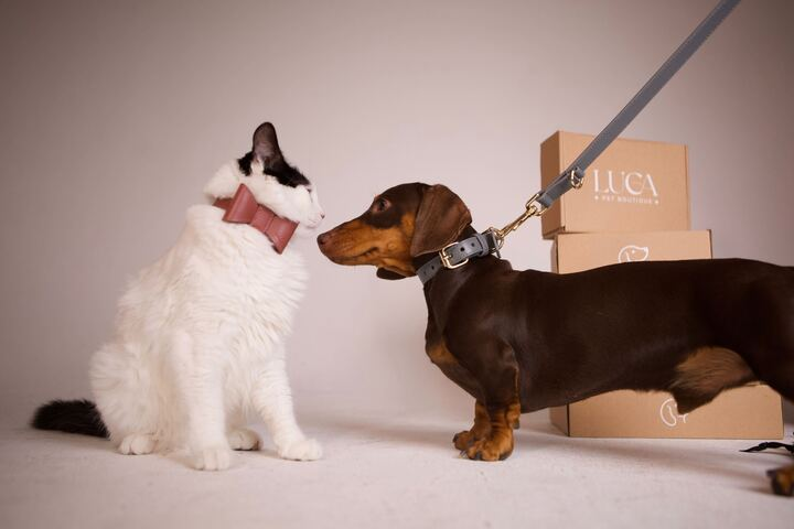 Long Leash Roma Beige